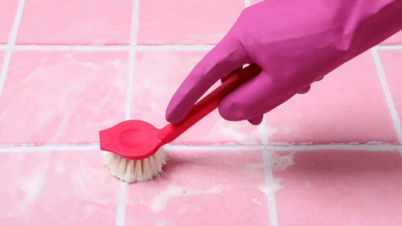 Foto - Derzleri temizlerken dikkat: Bu ikisi karışınca zehir oluyor!