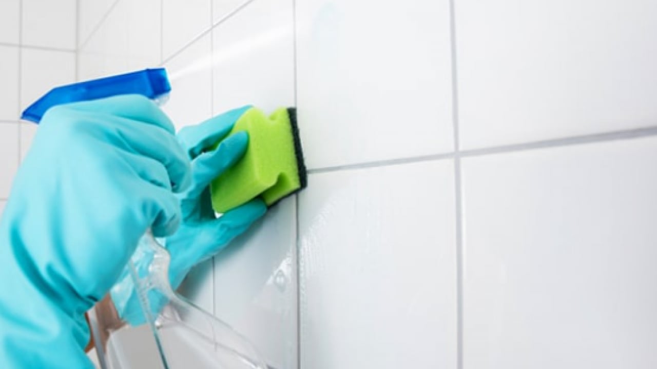 Foto - Derzleri temizlerken dikkat: Bu ikisi karışınca zehir oluyor!