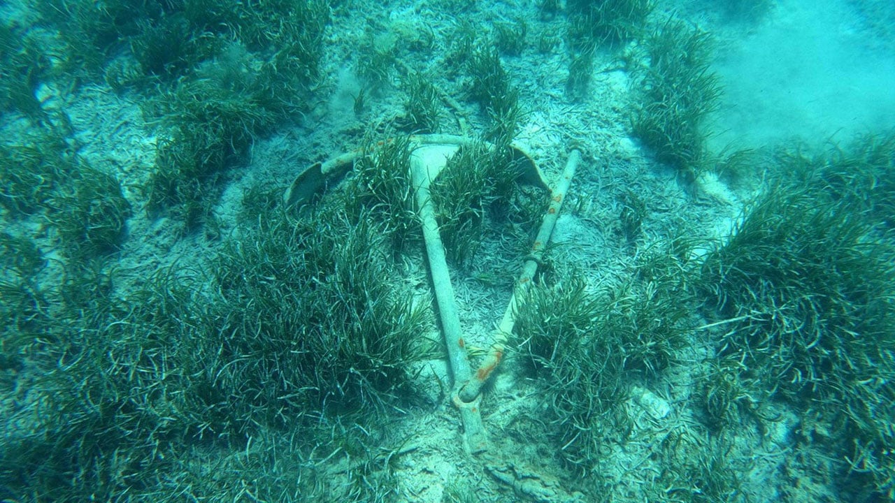 Foto - Dev deniz çayırı kuşağı tespit edildi! Bodrum’un altında saklı hazine