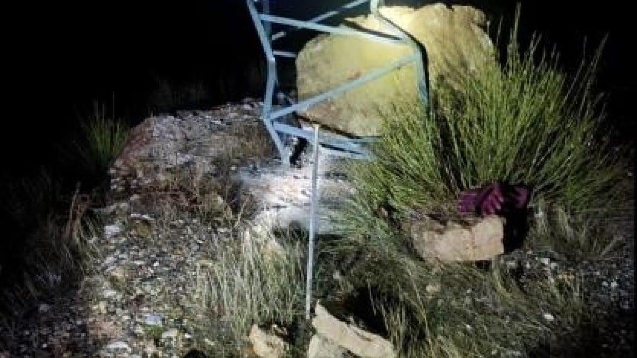 Dev kayayı elektrik direği durdurdu