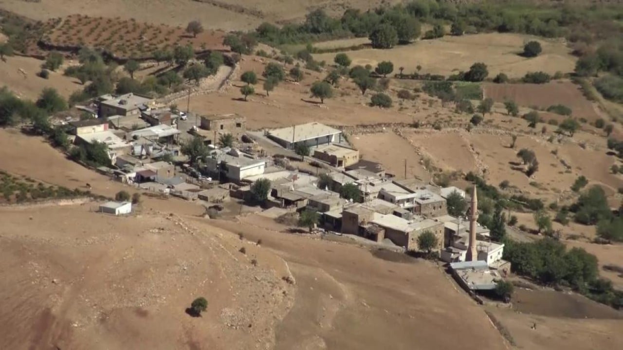 Foto - Dev kayayı elektrik direği durdurdu