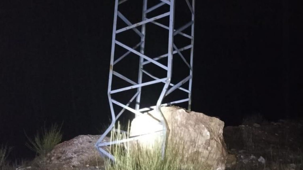 Foto - Dev kayayı elektrik direği durdurdu