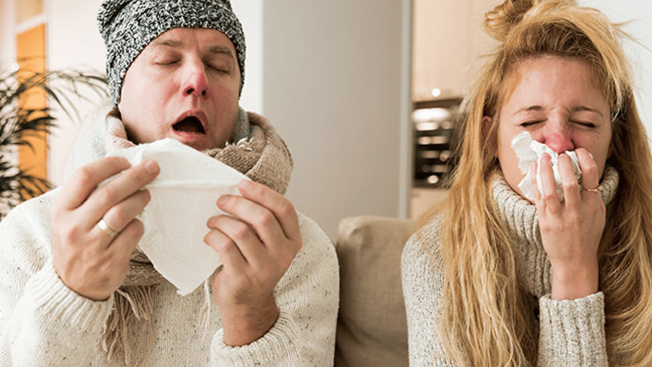 Foto - Dev yardımcıları sofranıza koyun... Kışın yardımcı besinleri: Bağışıklığı ayağa kaldırıyor