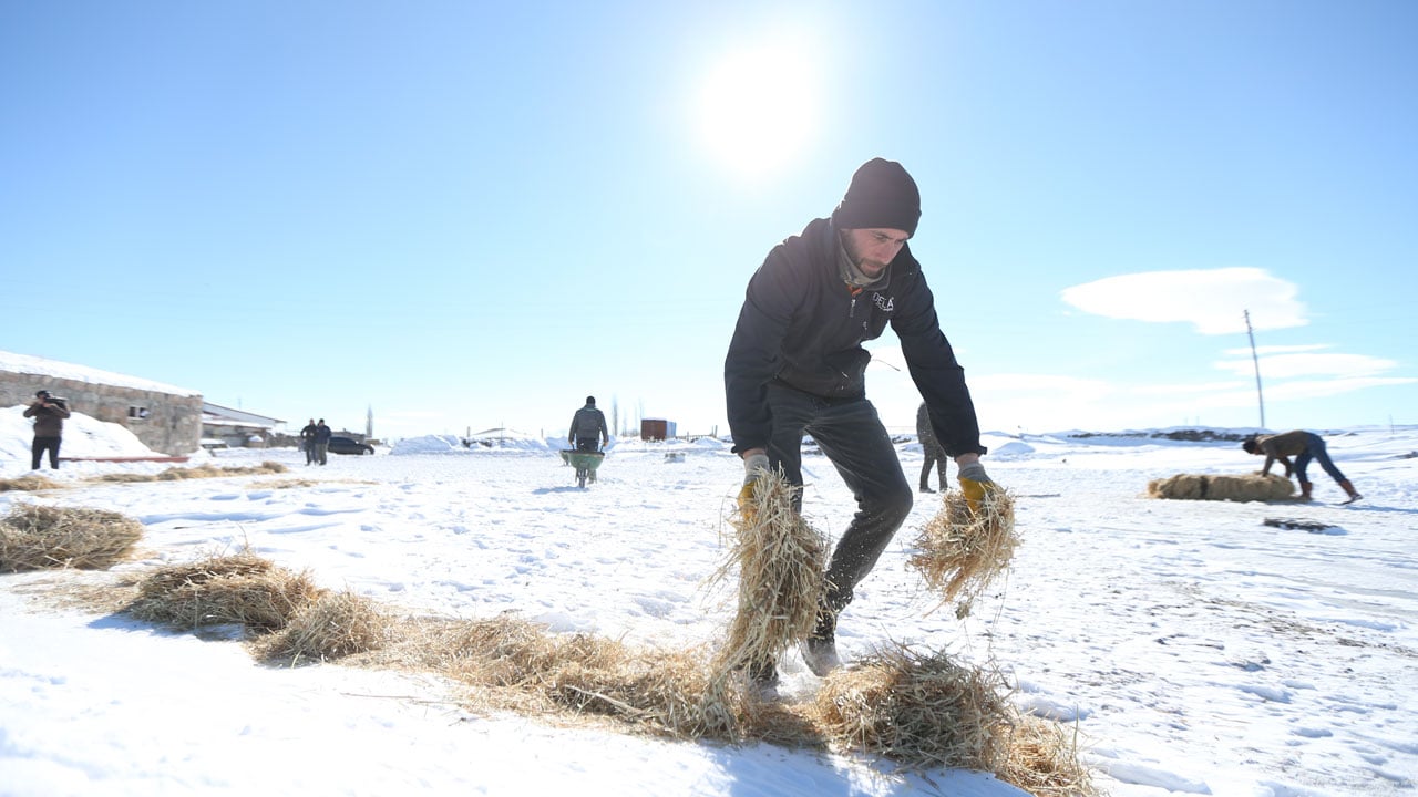 Foto - Devlet desteği aldı! "Başaramazsın" dediler sürüsünü 6 kat büyüttü
