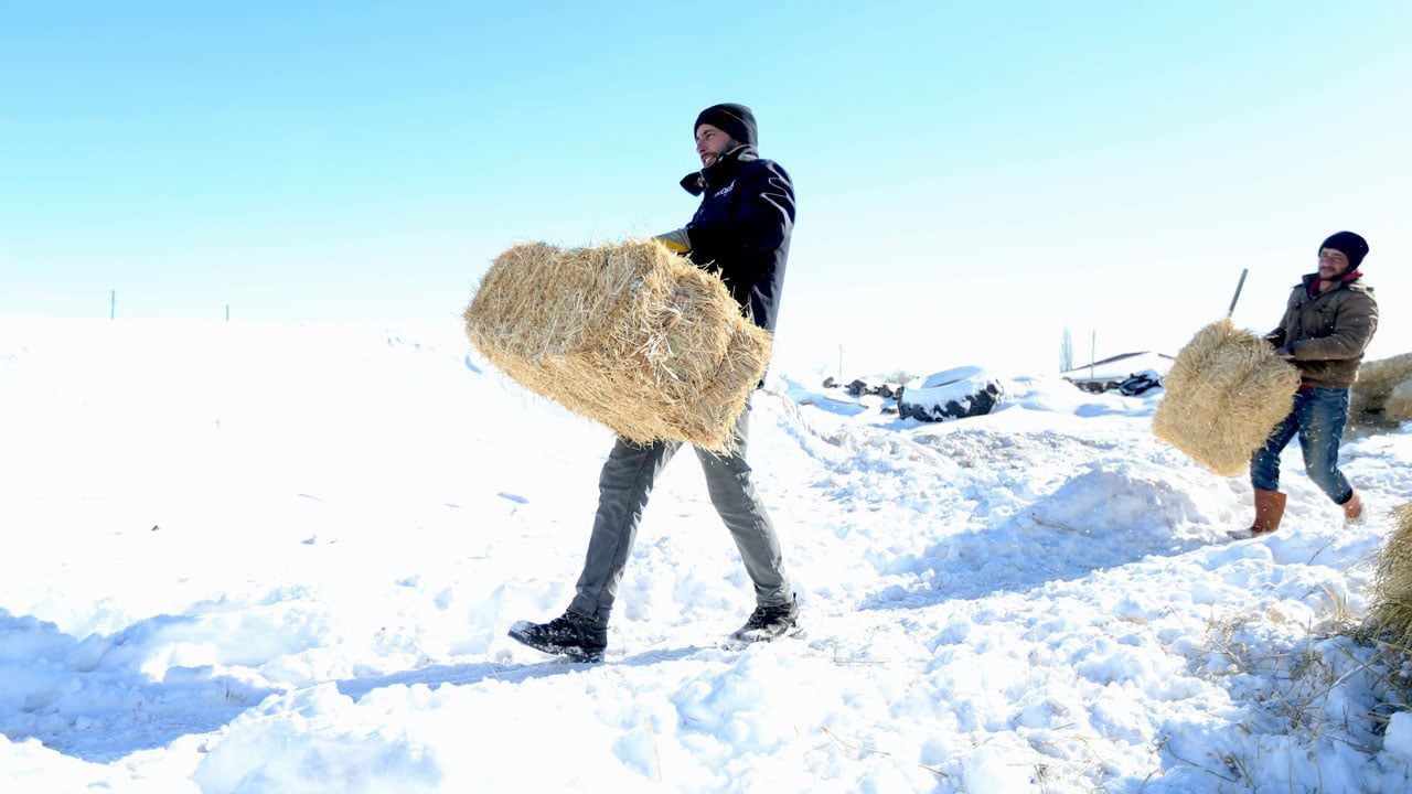 Foto - Devlet desteği aldı! "Başaramazsın" dediler sürüsünü 6 kat büyüttü