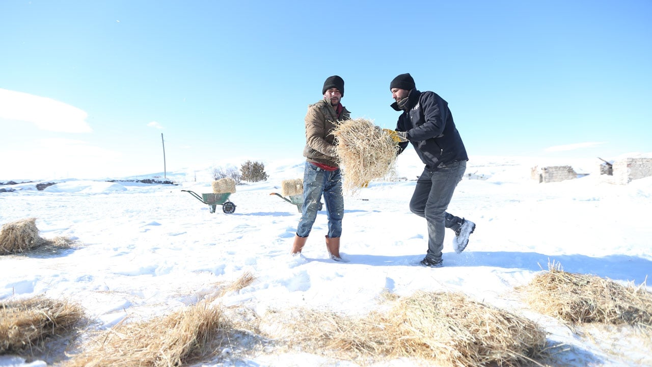 Foto - Devlet desteği aldı! "Başaramazsın" dediler sürüsünü 6 kat büyüttü