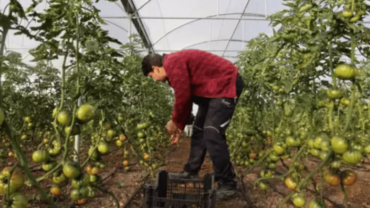 Kimse onlara inanmadı: Şimdi kendi işlerinin patronu oldular!