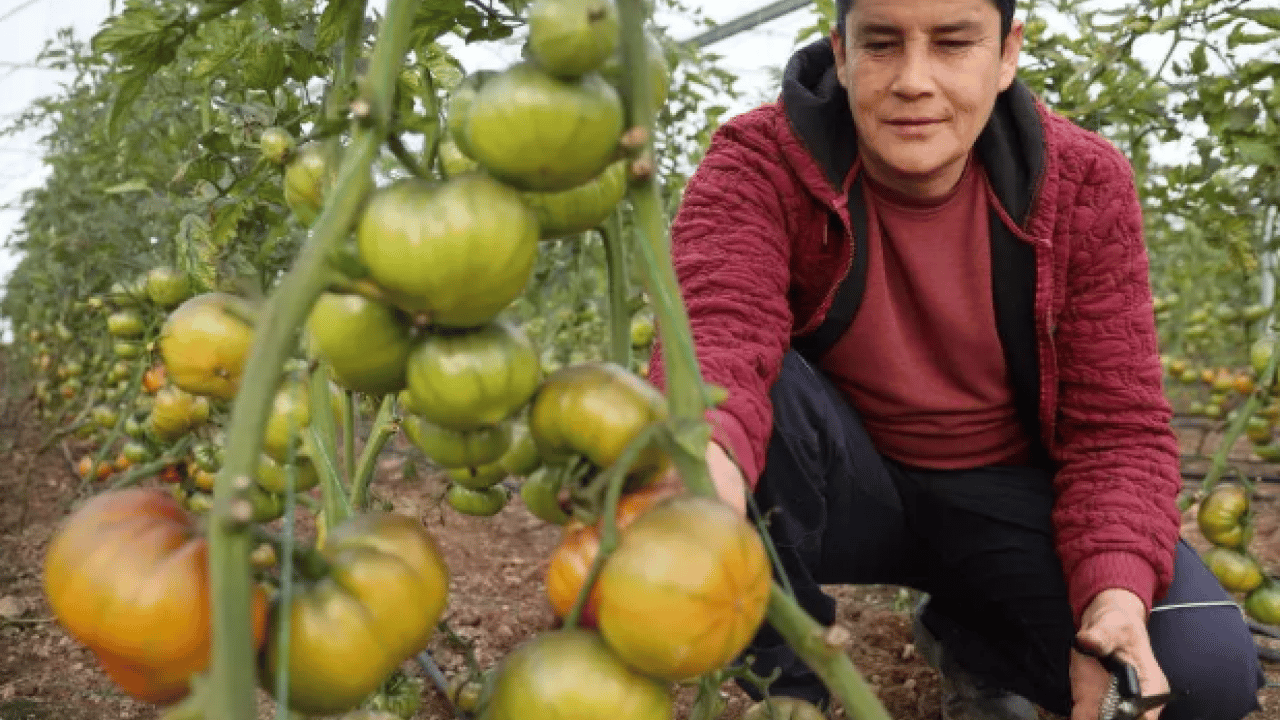 Foto - Kimse onlara inanmadı: Şimdi kendi işlerinin patronu oldular!
