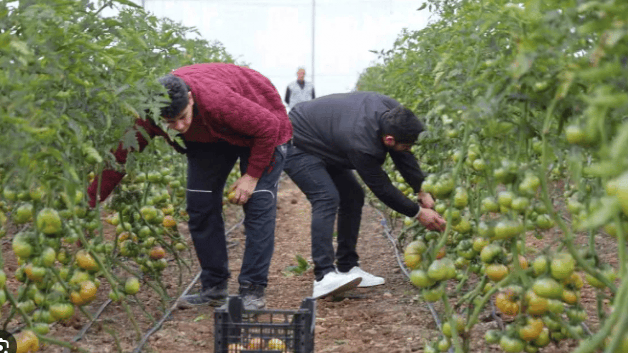 Foto - Kimse onlara inanmadı: Şimdi kendi işlerinin patronu oldular!
