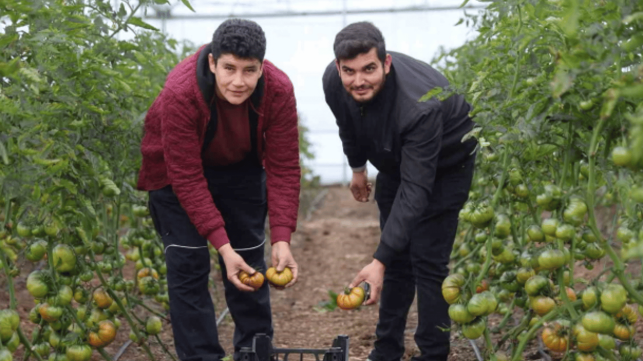 Foto - Kimse onlara inanmadı: Şimdi kendi işlerinin patronu oldular!