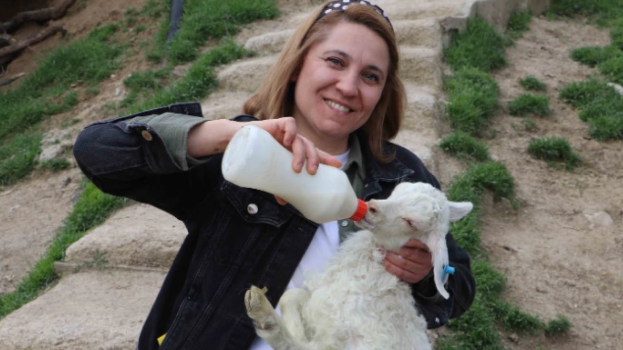 Foto - Devlet desteği ile kurdu! 6 yılda ulaştığı sayı şaşırttı