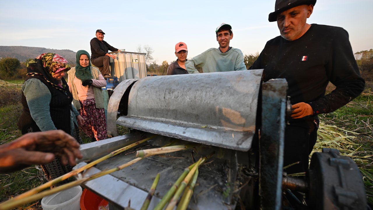 Foto - Devlet desteğiyle başladı, markasını kurdu! Düzceli kadın yılda 1 ton pekmez üretiyor