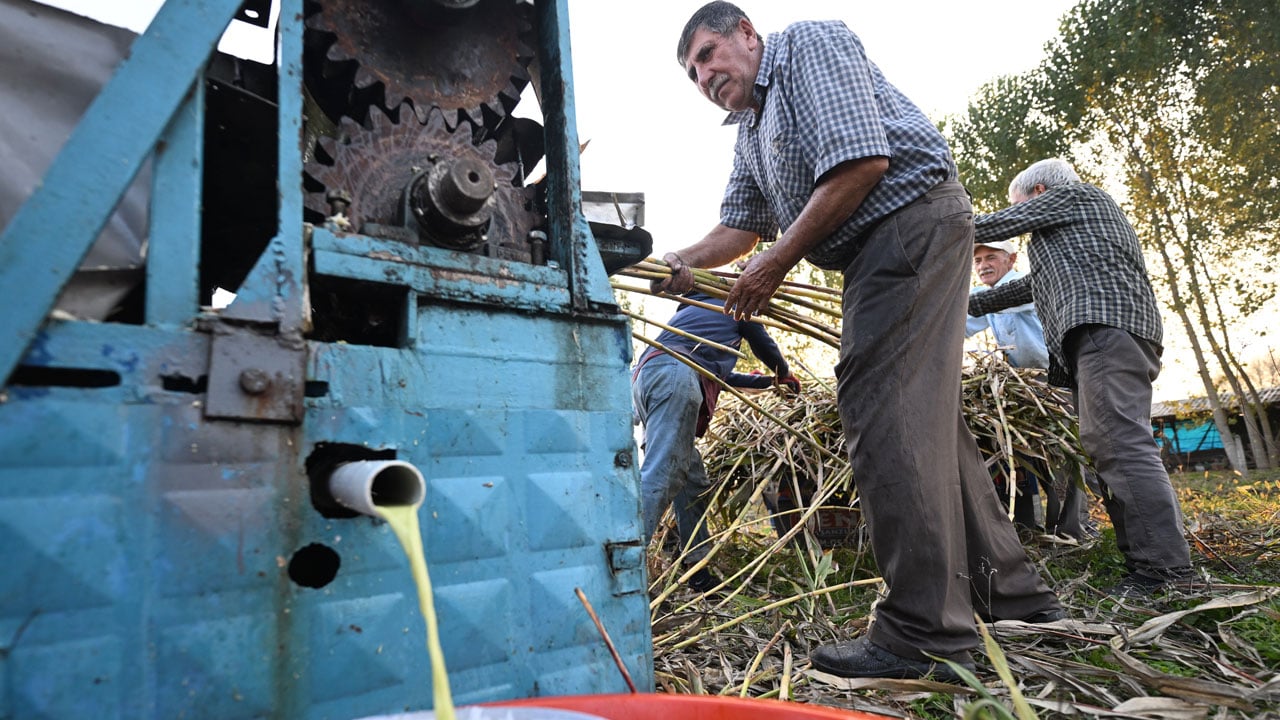 Foto - Devlet desteğiyle başladı, markasını kurdu! Düzceli kadın yılda 1 ton pekmez üretiyor