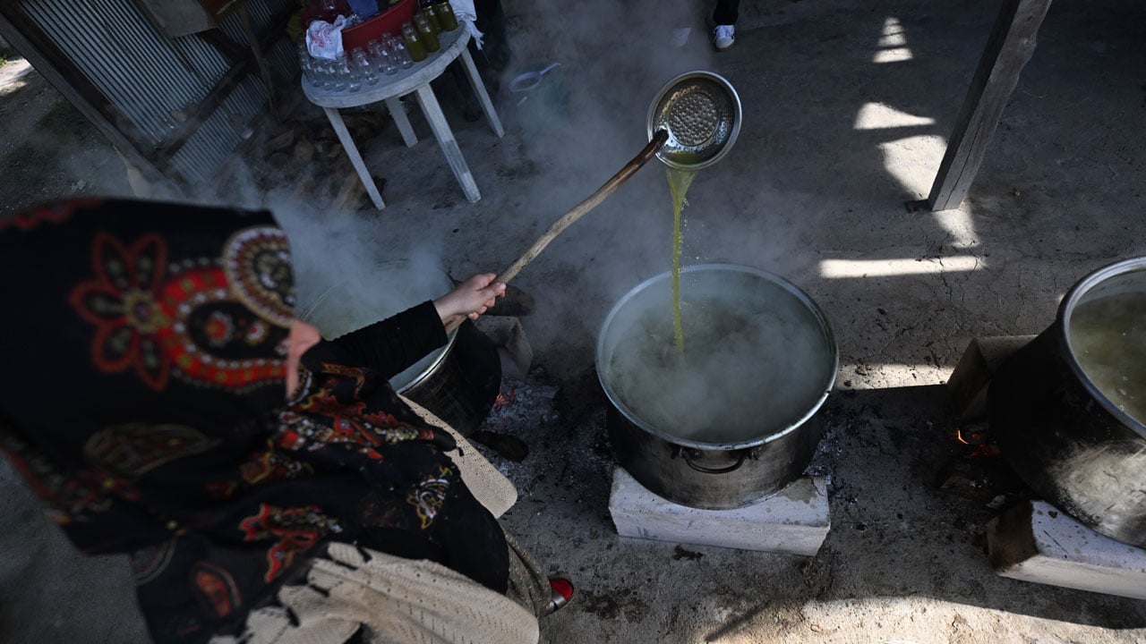 Foto - Devlet desteğiyle başladı, markasını kurdu! Düzceli kadın yılda 1 ton pekmez üretiyor