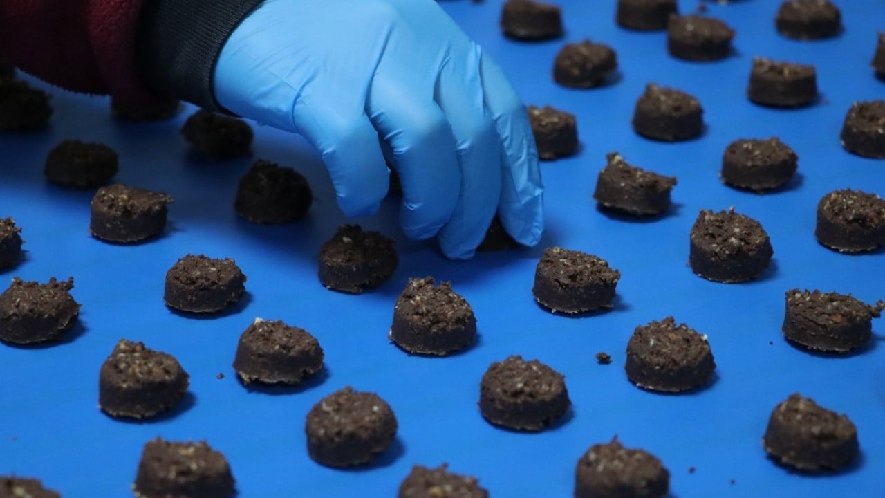 Foto - Devlet desteğiyle fabrika kurdu! Günde 100 bin paket glütensiz gıda üretiyor