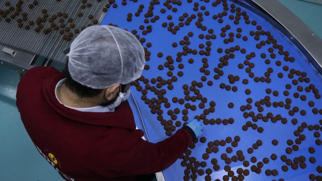 Devlet desteğiyle fabrika kurdu! Günde 100 bin paket glütensiz gıda üretiyor