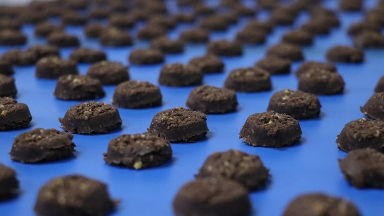 Foto - Devlet desteğiyle fabrika kurdu! Günde 100 bin paket glütensiz gıda üretiyor