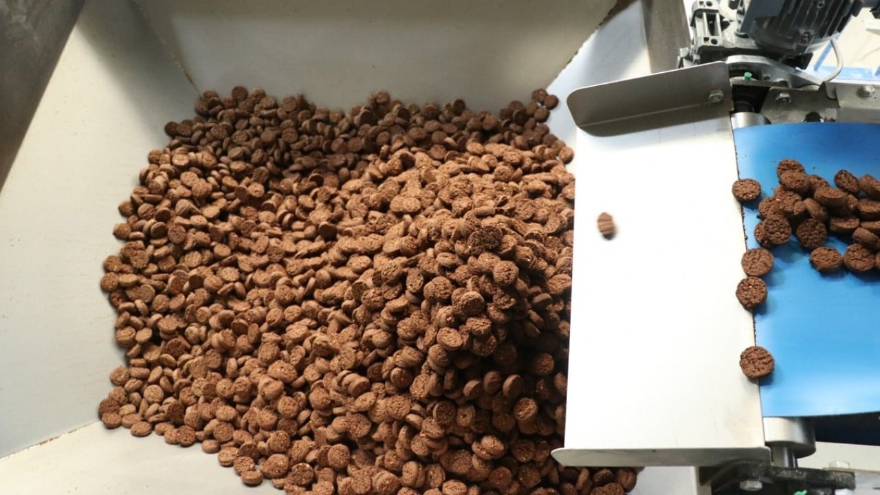 Foto - Devlet desteğiyle fabrika kurdu! Günde 100 bin paket glütensiz gıda üretiyor