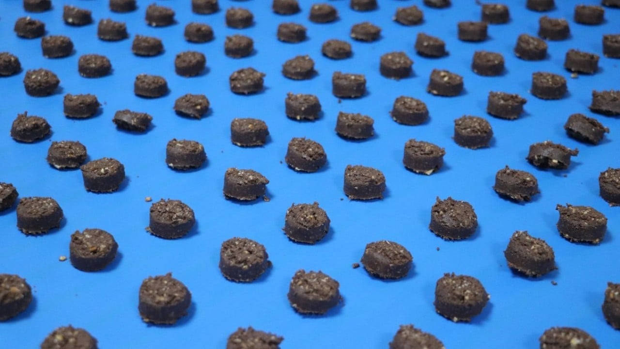 Foto - Devlet desteğiyle fabrika kurdu! Günde 100 bin paket glütensiz gıda üretiyor