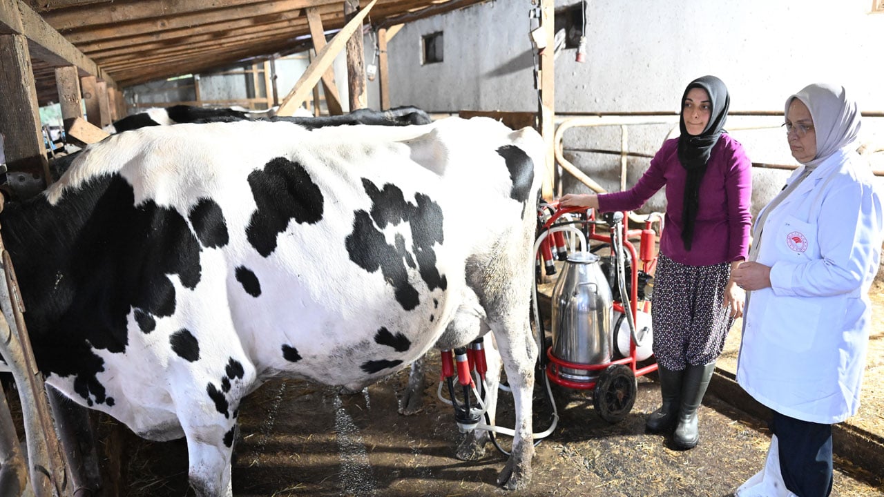 Foto - Devlet desteğiyle hayalini gerçekleştirdi! Bir inekle başladı şimdi çiftlik sahibi