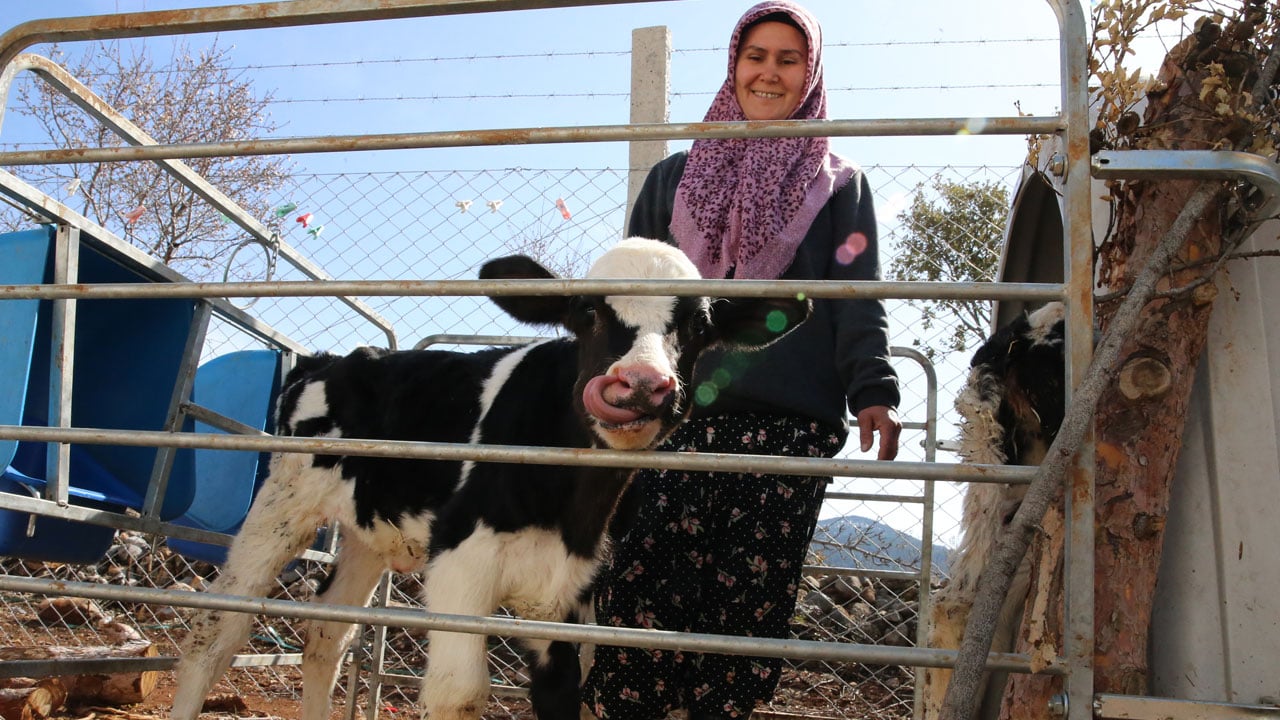 Devlet desteğiyle hayalini gerçekleştirdi! 5 inekle başladığı işi çiftliğe dönüştürdü