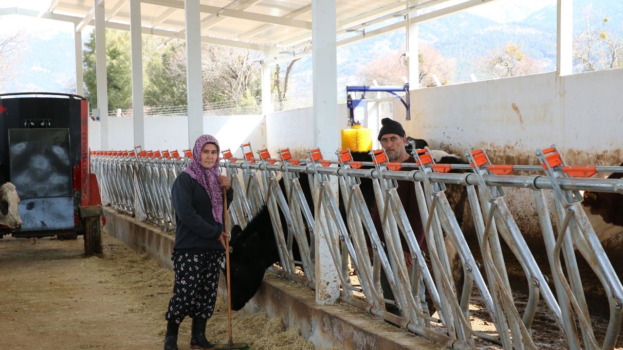 Foto - Devlet desteğiyle hayalini gerçekleştirdi! 5 inekle başladığı işi çiftliğe dönüştürdü