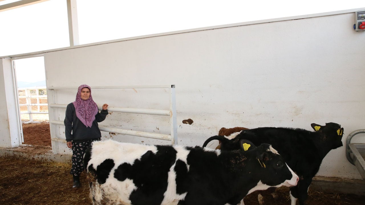Foto - Devlet desteğiyle hayalini gerçekleştirdi! 5 inekle başladığı işi çiftliğe dönüştürdü
