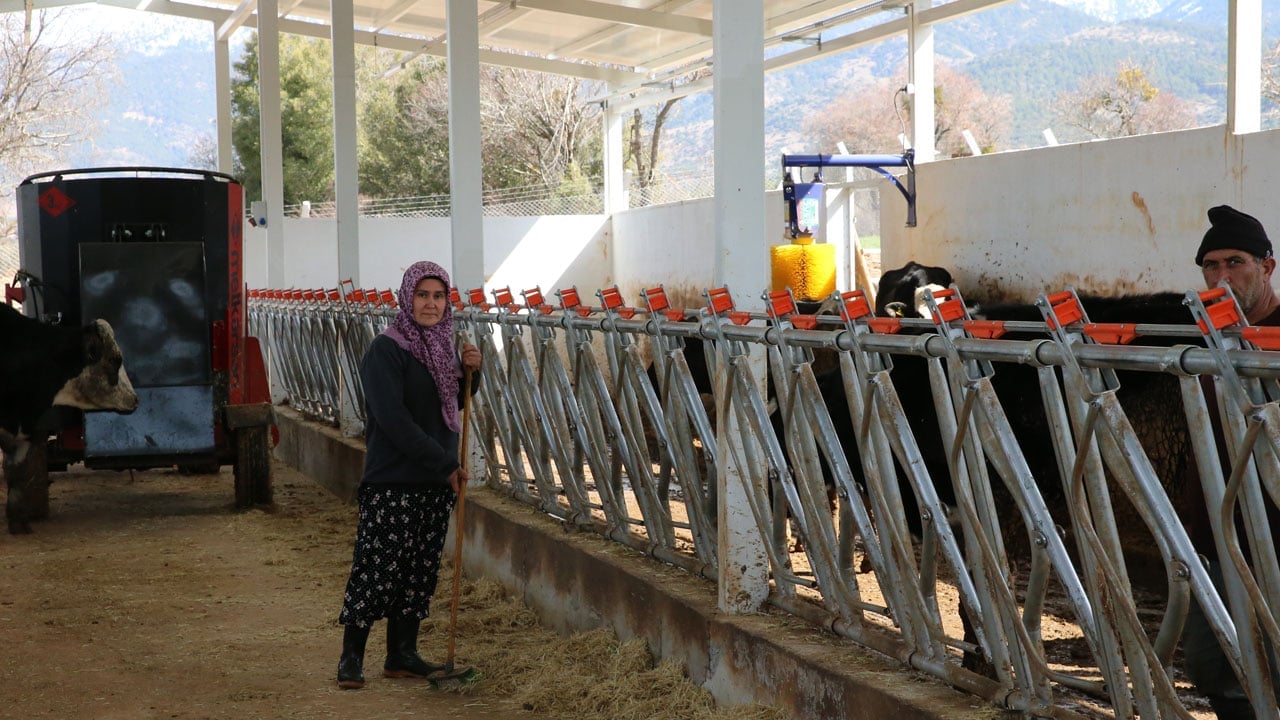 Foto - Devlet desteğiyle hayalini gerçekleştirdi! 5 inekle başladığı işi çiftliğe dönüştürdü