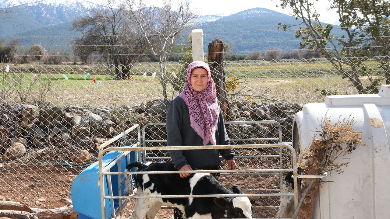 Foto - Devlet desteğiyle hayalini gerçekleştirdi! 5 inekle başladığı işi çiftliğe dönüştürdü