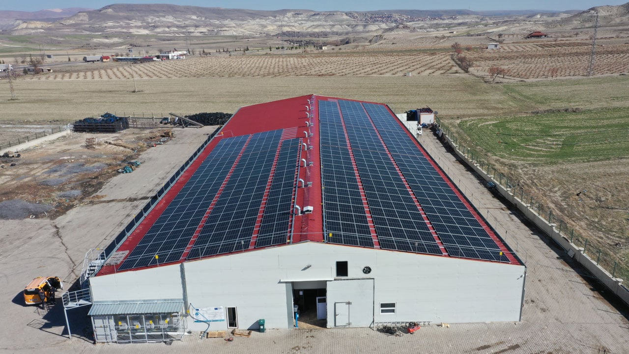 Foto - Devlet desteğiyle kendi işini kurdu! Öğretmenliği bıraktı, ayda 60 ton üretime ulaştı