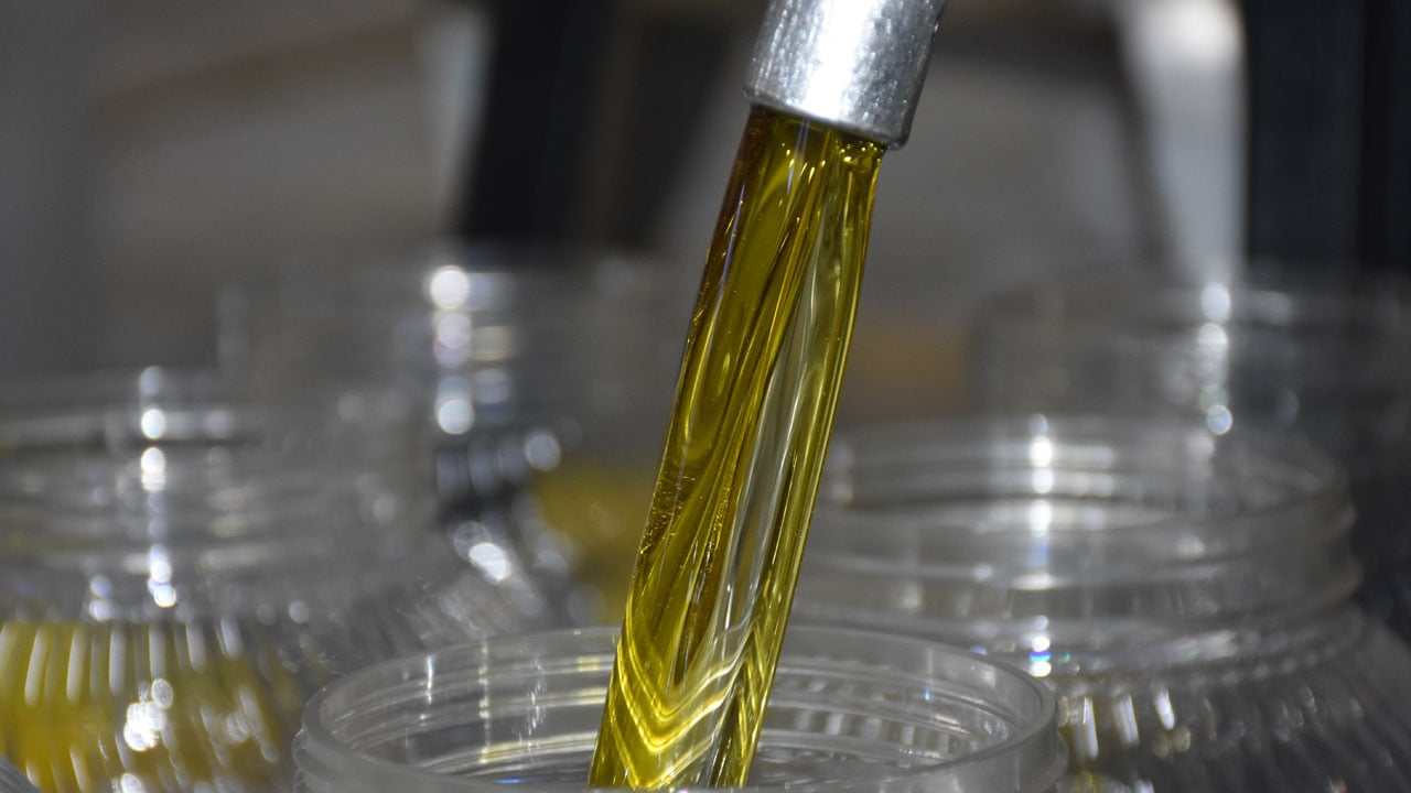 Foto - Devlet desteğiyle kuruldu! Bir zamanlar kimsenin bakmadığı toprak şimdi altın değerinde