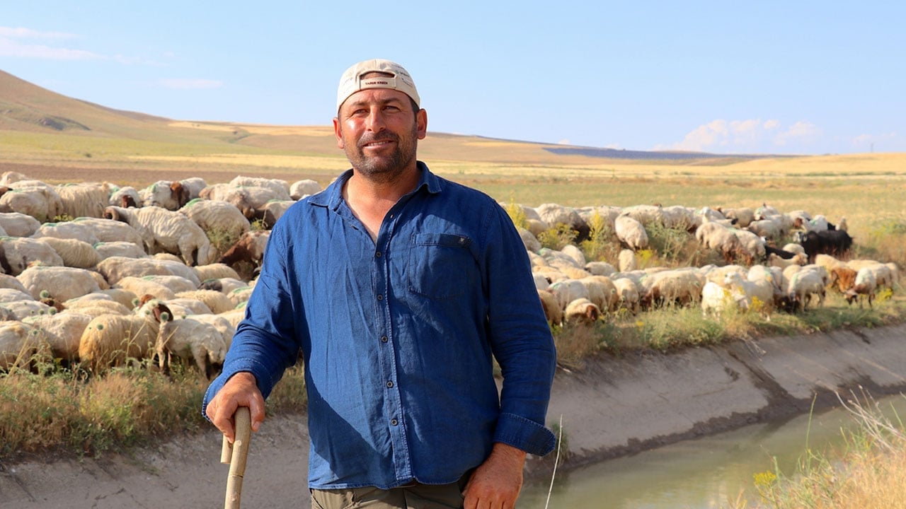Foto - Devletin kadın çiftçiye verdiği 40 koyun 400’e çıktı: Allah devletimize zeval vermesin