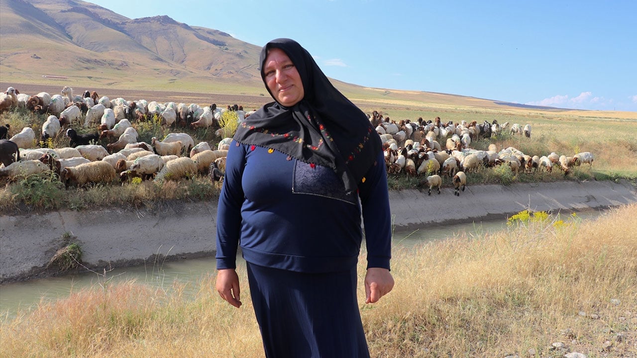 Foto - Devletin kadın çiftçiye verdiği 40 koyun 400’e çıktı: Allah devletimize zeval vermesin
