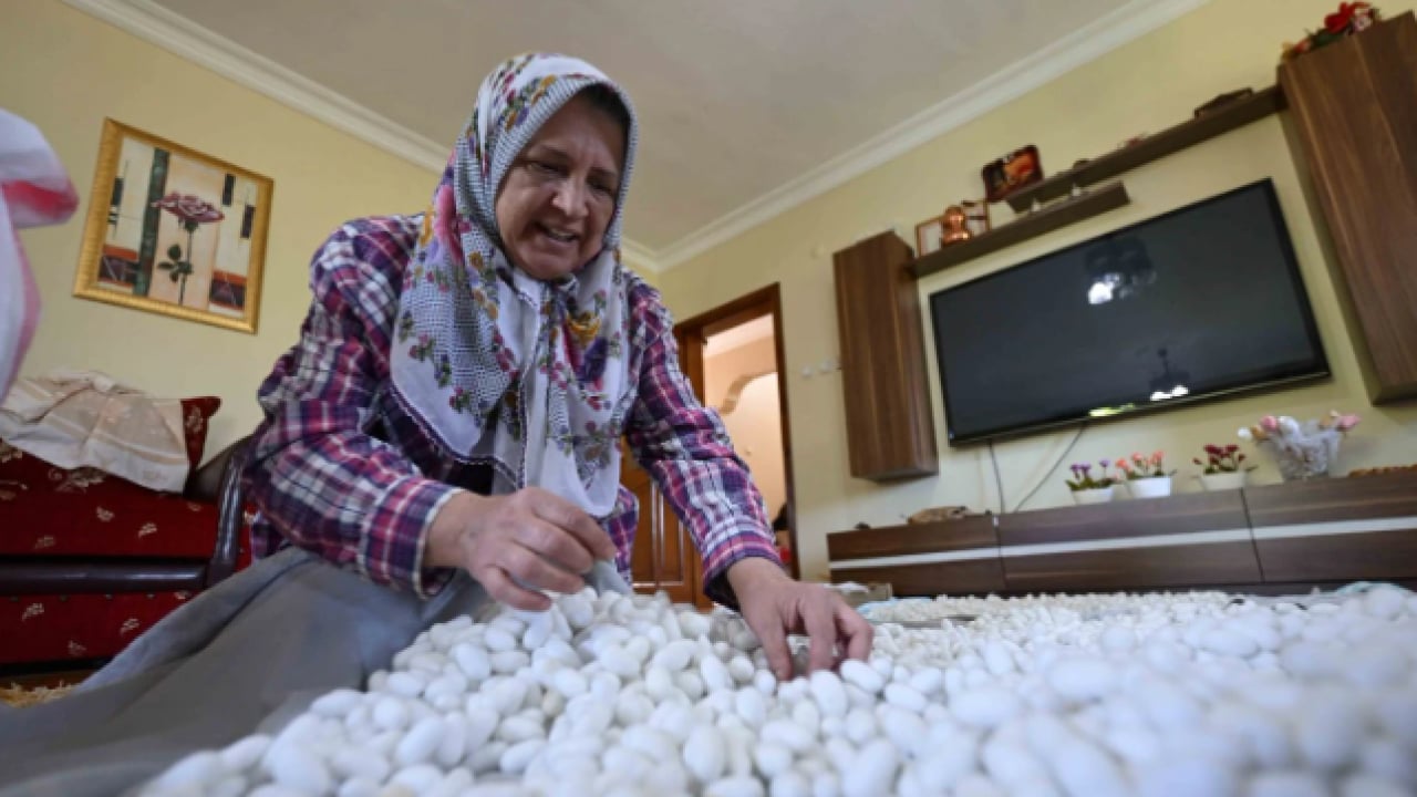 Foto - Devletten aldığı destekle hobisini gelir kapısına dönüştürdü! ‘Devlet yumurtasını gönderiyor biz sadece bakıyoruz'