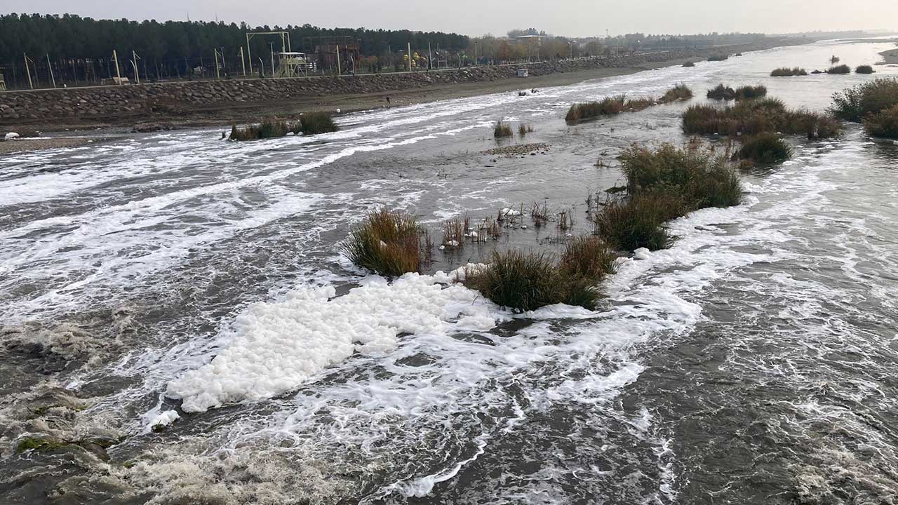 Foto - Dicle Nehri’nde korkutan görüntü