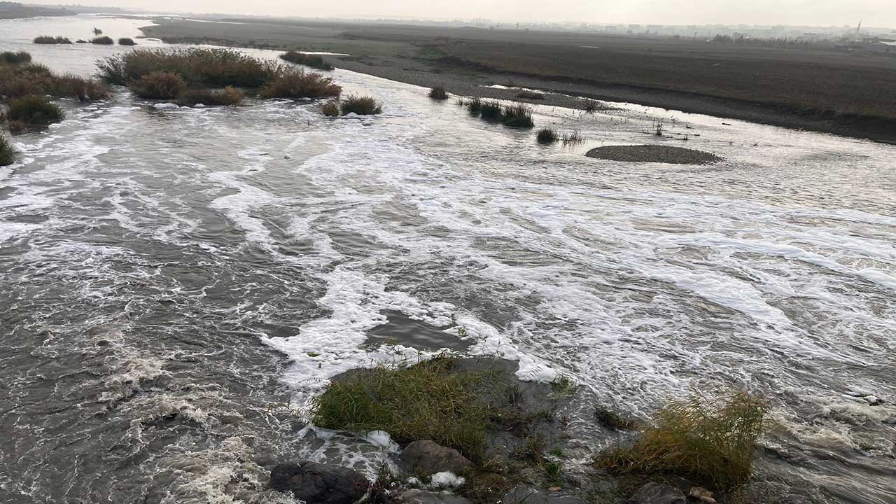 Foto - Dicle Nehri’nde korkutan görüntü