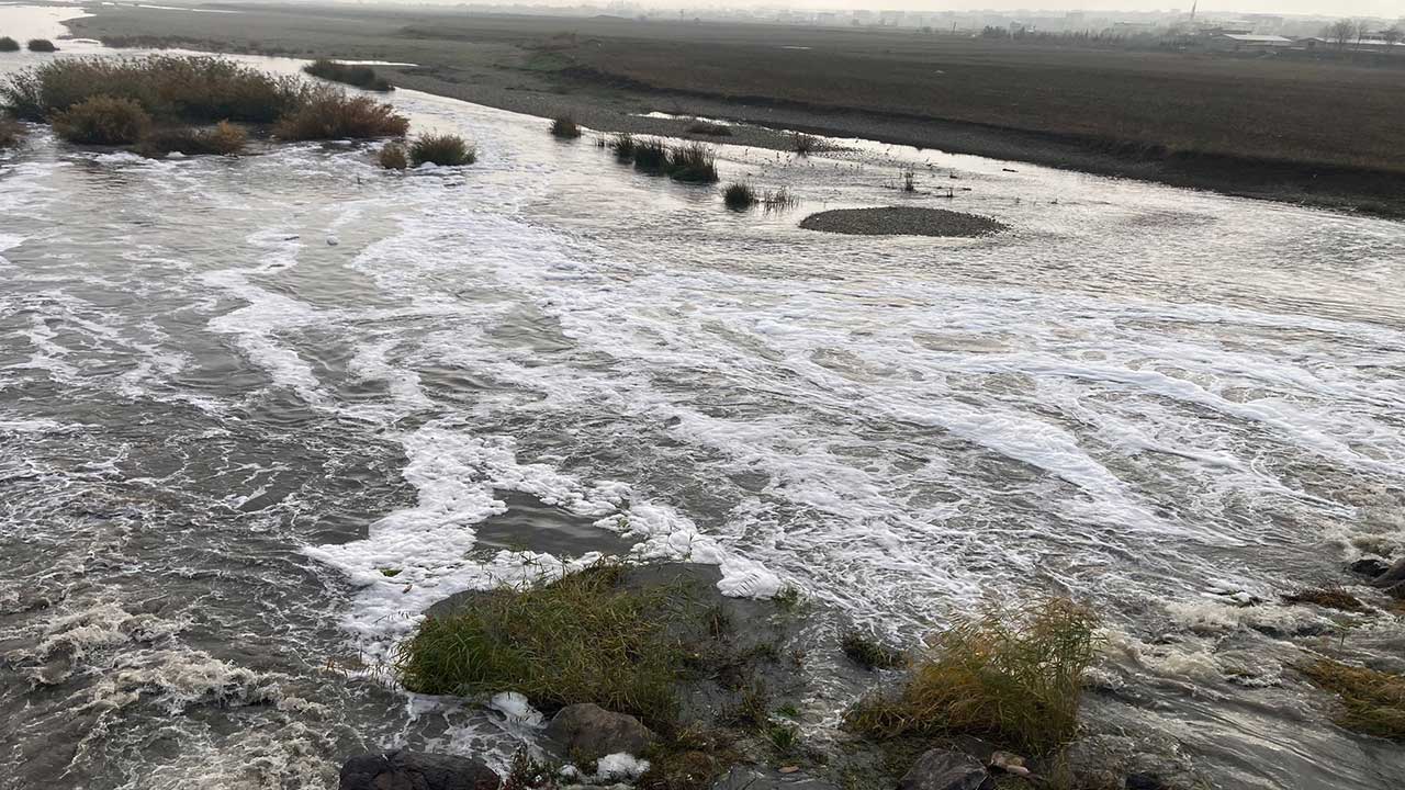 Dicle Nehri’nde korkutan görüntü