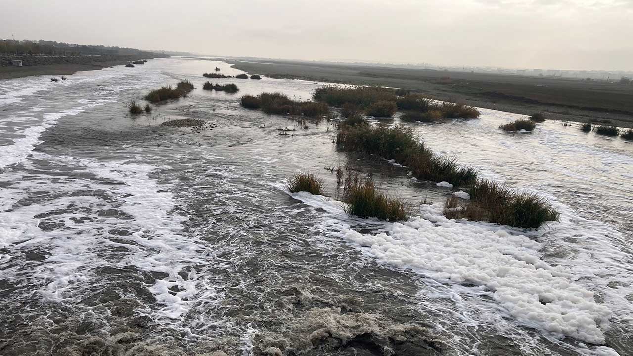 Foto - Dicle Nehri’nde korkutan görüntü