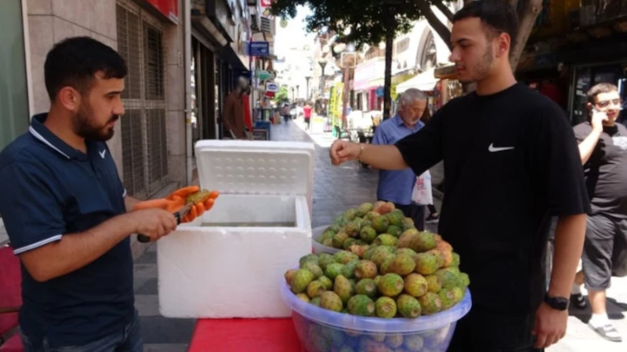 Dikeninden bal damlıyor: Tanesi 20 liradan satılıyor!