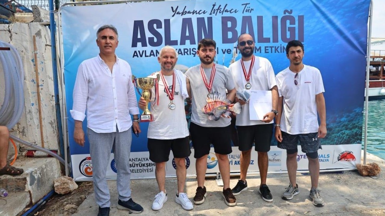 Foto - Dikenleri tehlikeli ve zehirli Önce avladılar daha sonra afiyetle yediler