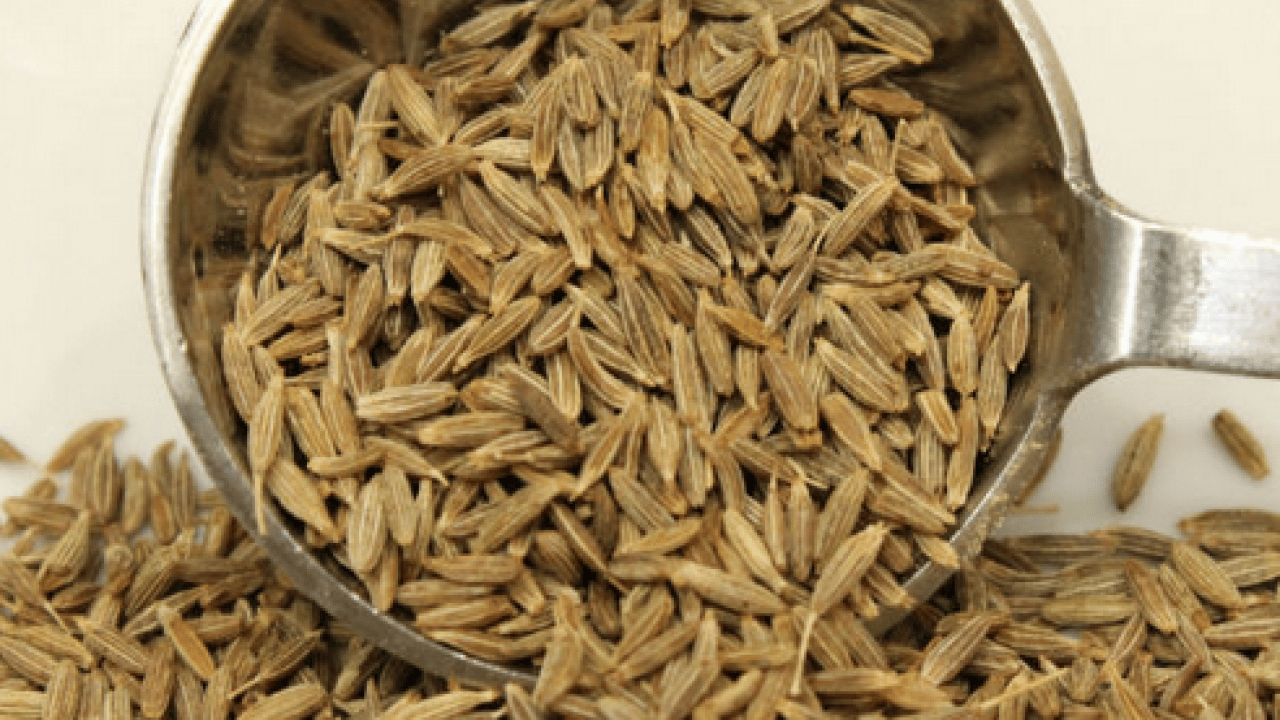 Foto - Dikkat çeken faydaları... Mutlaka sofrada yer açmalısınız... Müthiş şifa deposu!