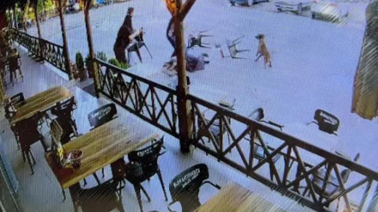 Foto - Dinlenme tesisinde dehşet anları! Yerde sürükleyerek kolunu parçaladı!