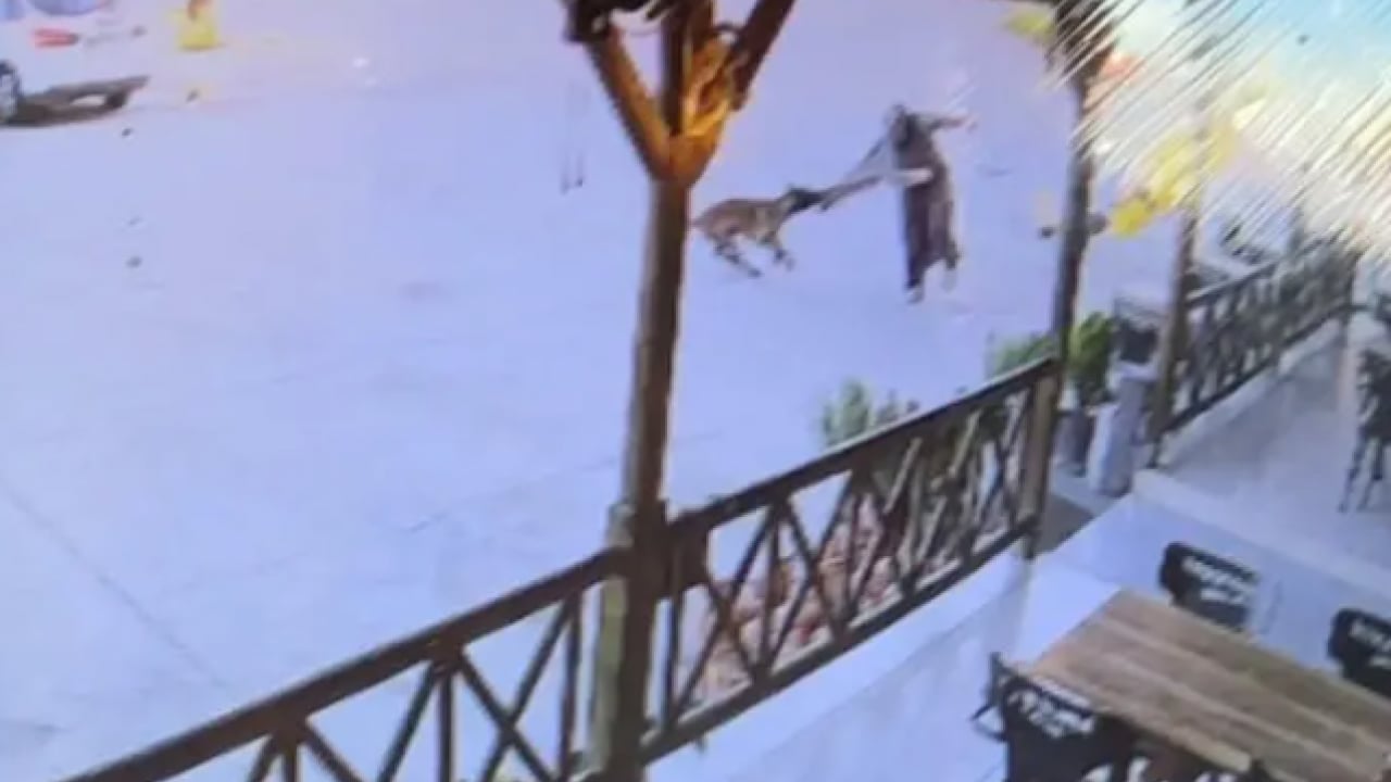 Foto - Dinlenme tesisinde dehşet anları! Yerde sürükleyerek kolunu parçaladı!