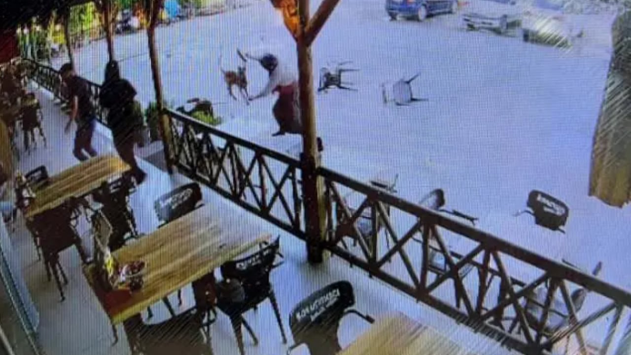 Foto - Dinlenme tesisinde dehşet anları! Yerde sürükleyerek kolunu parçaladı!