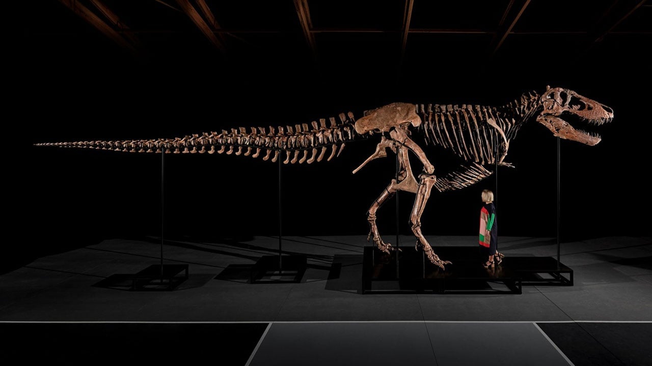 Foto - Dinozor fosili satıldı! 50 milyon dolarlık rekor kırıldı