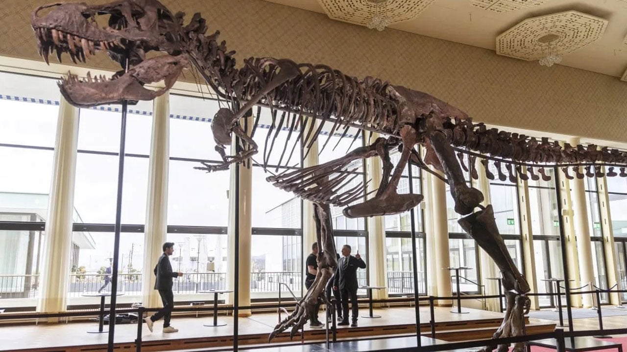 Foto - Dinozor fosili satıldı! 50 milyon dolarlık rekor kırıldı