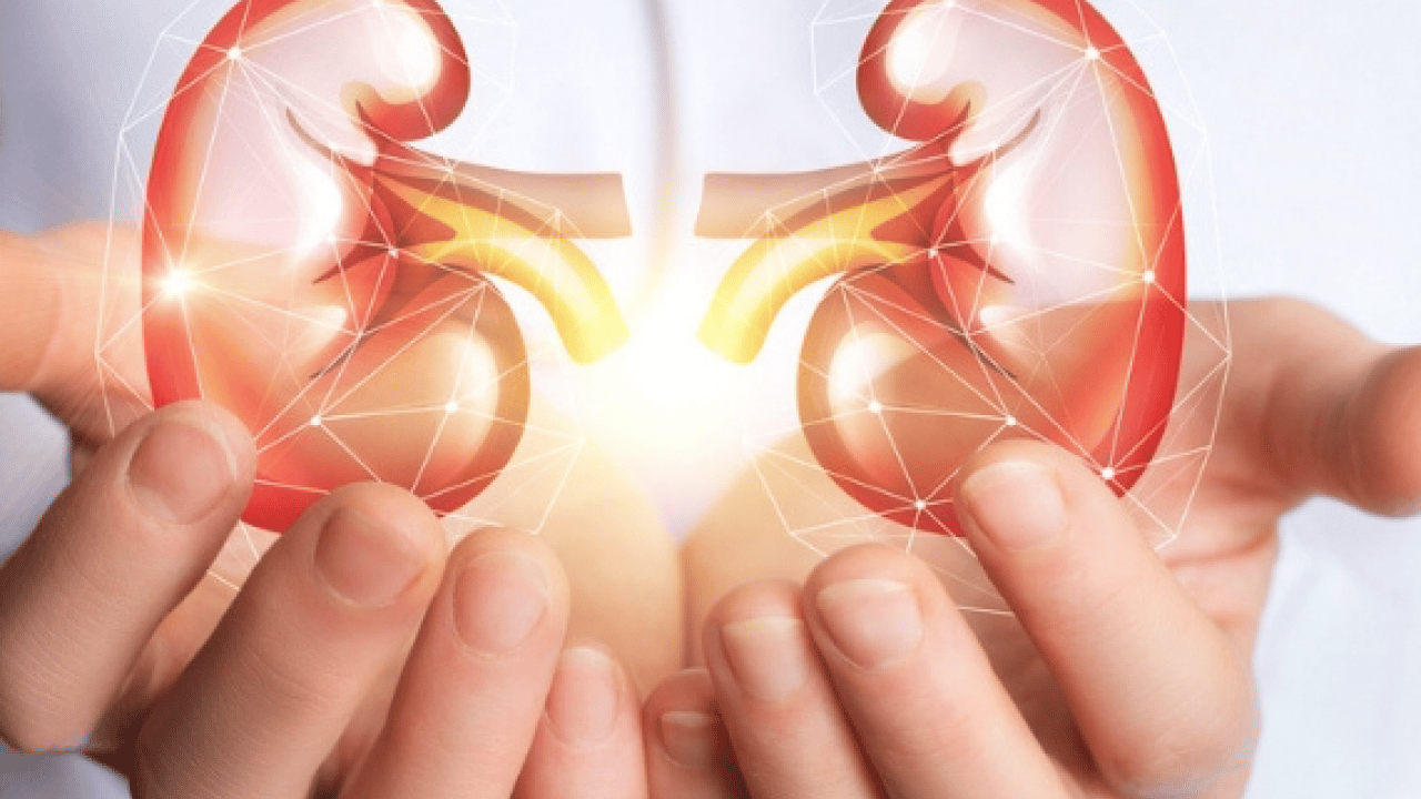 Foto - Diyabet, obezite ve hipertansiyon en önemli risk faktörleri arasında: Dünyada 850 milyon kişi böbrek hastalığı...