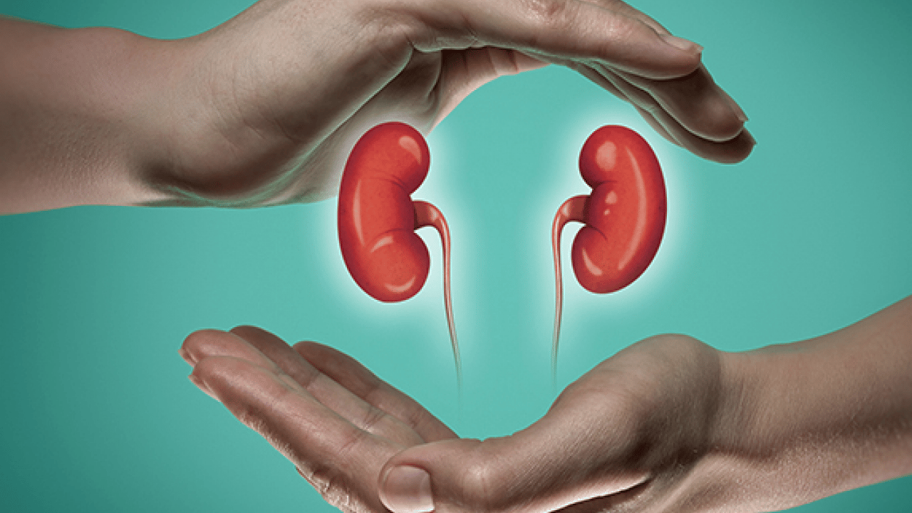 Foto - Diyabet, obezite ve hipertansiyon en önemli risk faktörleri arasında: Dünyada 850 milyon kişi böbrek hastalığı...