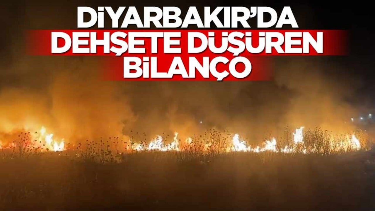 Diyarbakır'da dehşete düşüren bilanço