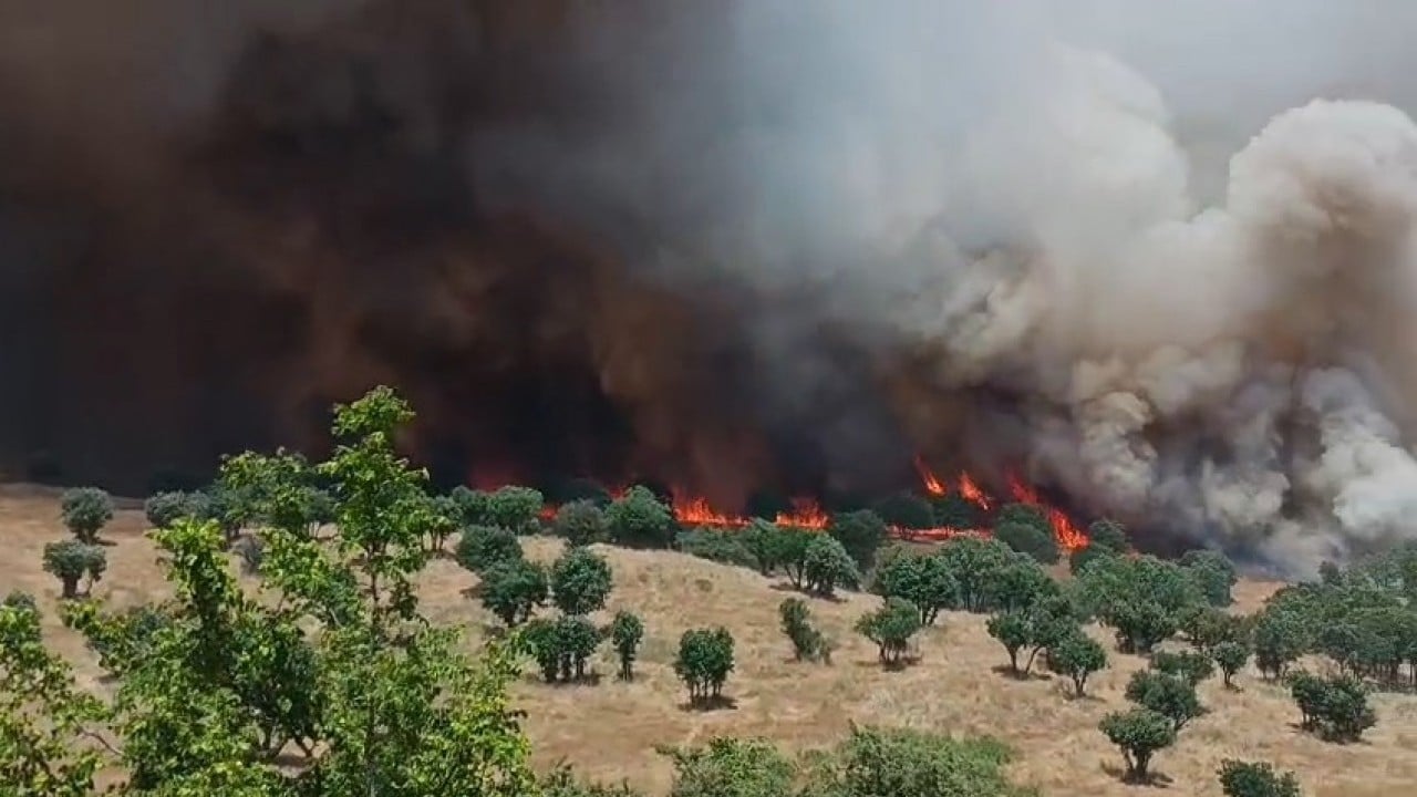 Foto - Diyarbakır'da dehşete düşüren bilanço